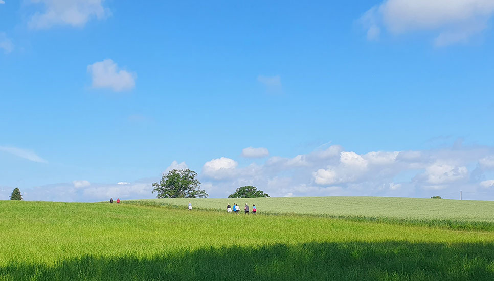 Image Slider 11